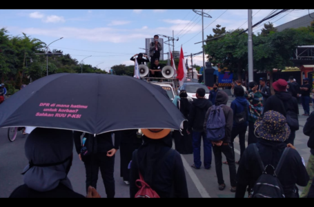 Pengalaman Menjadi Pendamping Penyintas Kekerasan Seksual di Organisasi Pers Mahasiswa